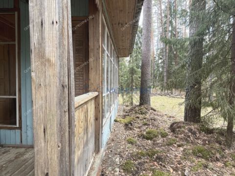 dacha-derevnya-sverchkovo-gorodskoy-okrug-bor фото