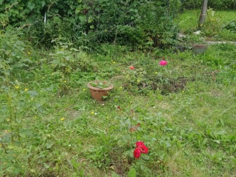 dacha-derevnya-zimenki-bogorodskiy-municipalnyy-okrug фото