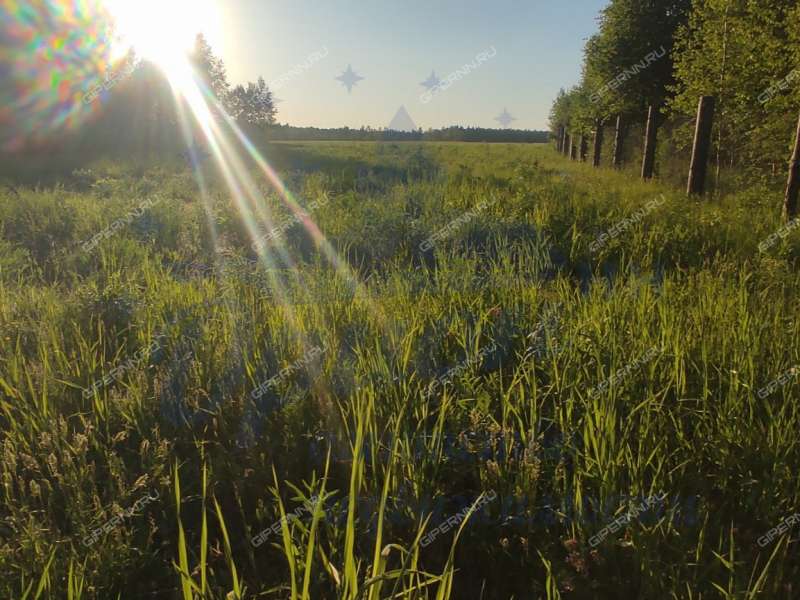 земельный участок 18 соток деревня Мошкино, Бриляковский сельсовет