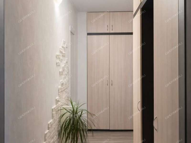 двухкомнатная квартира на проспекте Ленина дом 51/7