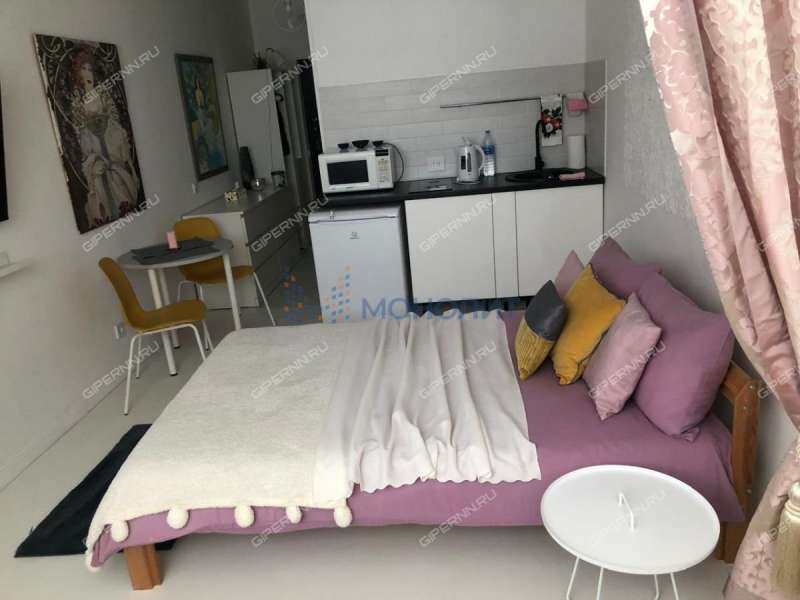 квартира-студия на улице Красная Поляна дом 7 деревня Афонино