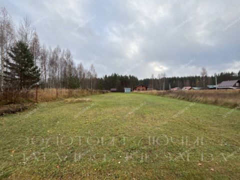 derevnya-pionerskoe-gorodskoy-okrug-bor фото