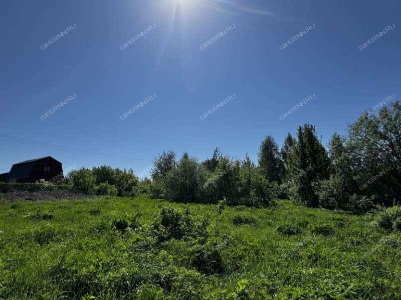 земельный участок 10 соток село Елховка