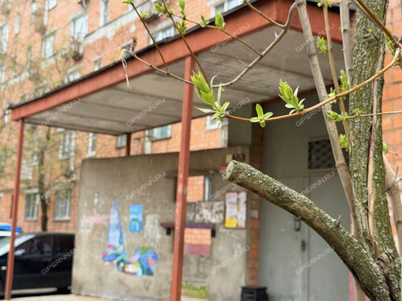однокомнатная квартира на улице Белинского дом 89