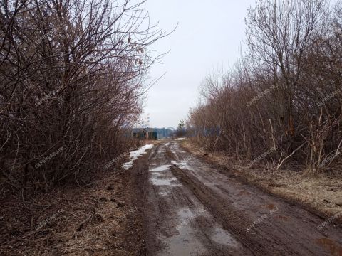 dp-cheshskie-sady-derevnya-nepecino-ter-bogorodskiy-municipalnyy-okrug фото