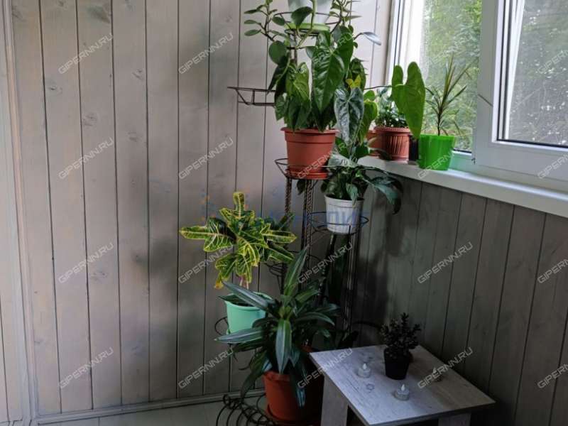 двухкомнатная квартира на улице Лесной Городок дом 4А