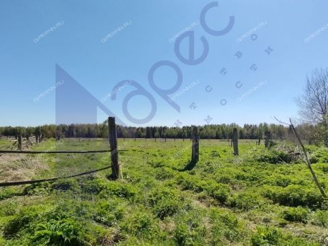 derevnya-berezovo-sokolskiy-gorodskoy-okrug фото