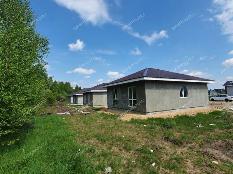 дом на Героя Демина ул. деревня Пруды