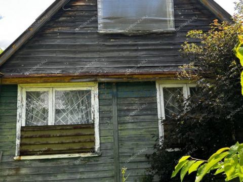 dacha-snt-druzhba-snt-druzhba фото