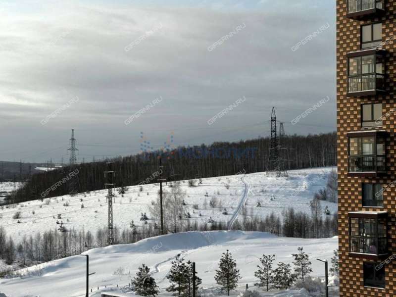 однокомнатная квартира на улице Небесная дом 3 деревня Утечино