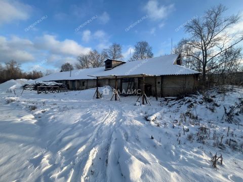 gorod-semenov-semenovskiy-gorodskoy-okrug фото