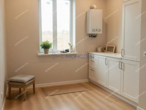 gorod-bogorodsk-bogorodskiy-municipalnyy-okrug фото