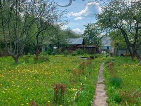 derevnya-novaya-puner-kstovskiy-rayon фото