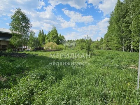 poselok-oktyabrskiy-gorodskoy-okrug-bor фото