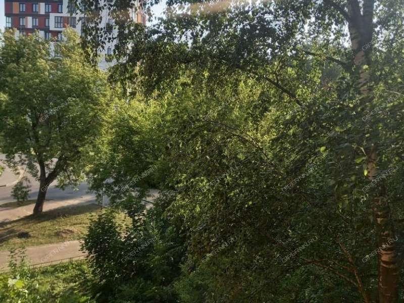 однокомнатная квартира на Большевистской улице дом 7