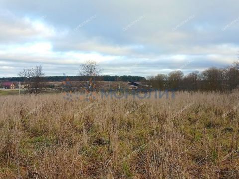 derevnya-hmelevaya-polyana-dalnekonstantinovskiy-rayon фото