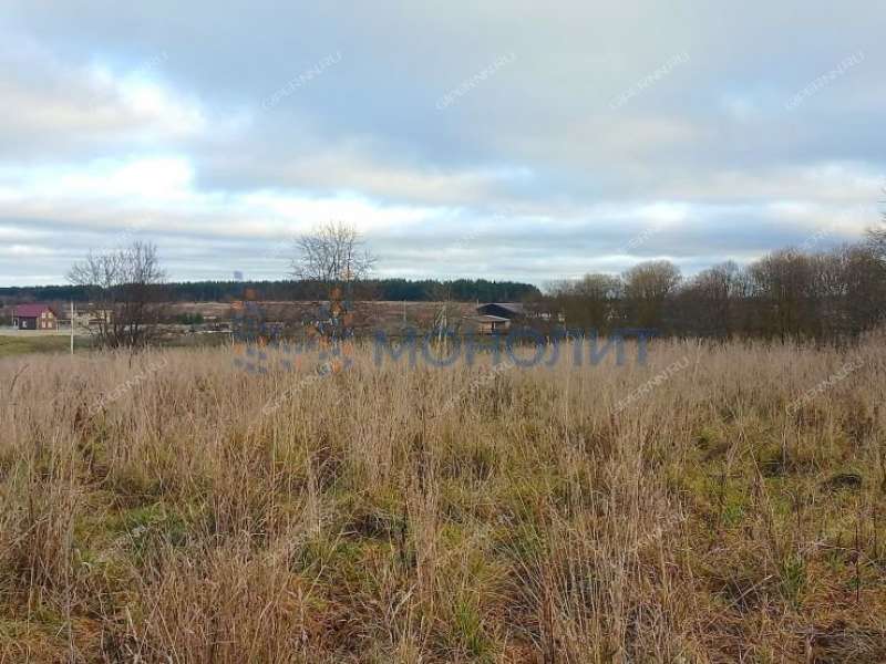 земельный участок 619 соток - деревня Хмелевая Поляна