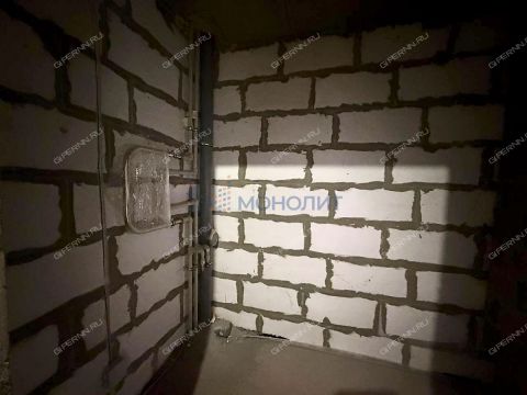 1-komnatnaya-gorod-kstovo-kstovskiy-rayon фото