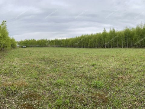derevnya-zaozere-bogorodskiy-municipalnyy-okrug фото