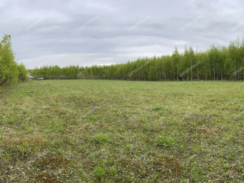 земельный участок 32 сотки Радужная улица деревня Заозерье
