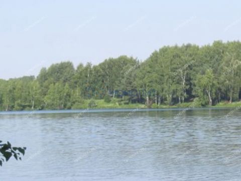 selo-efimevo-bogorodskiy-municipalnyy-okrug фото