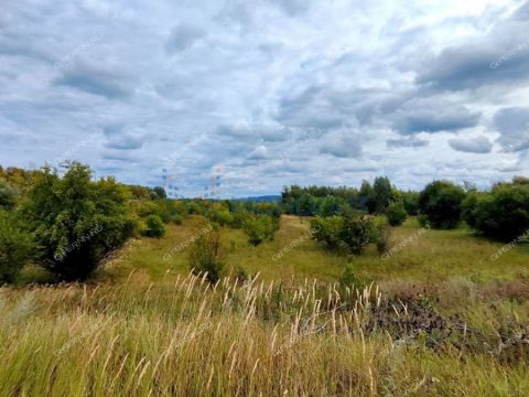 selo-yurkino-lyskovskiy-municipalnyy-okrug фото