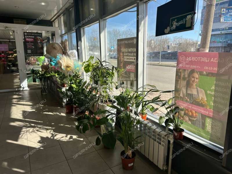 помещение под торговую площадь на улице Композитора Касьянова