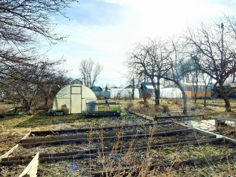 dacha-selo-bolshaya-elnya-kstovskiy-rayon фото