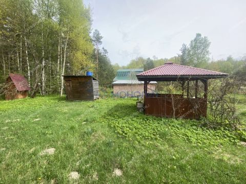 dacha-snt-leninec-8-dalnekonstantinovskiy-rayon фото