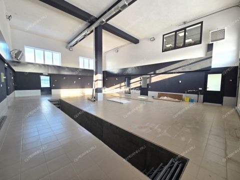 ul-larina-d-13d фото