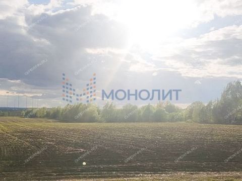 dom-derevnya-royka-kstovskiy-rayon фото