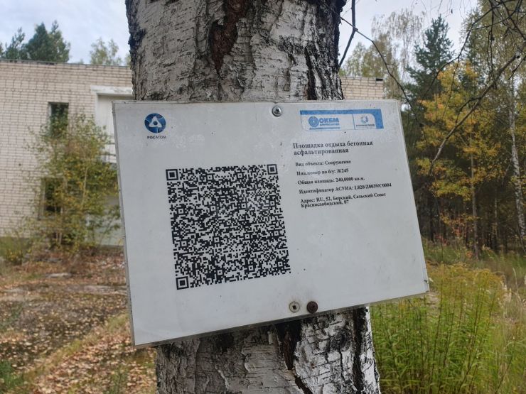 Фото: Ксения Ражева