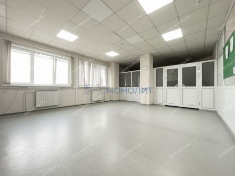 ul-delovaya-d-1s фото