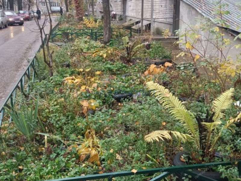 двухкомнатная квартира на улице Щорса дом 21 город Дзержинск