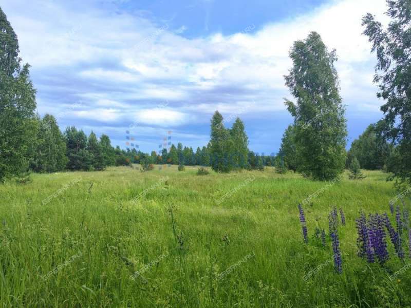 земельный участок под сельхоз назначение в городском округе Сокольский Нижегородской области