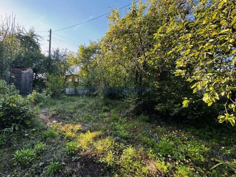 dacha фото