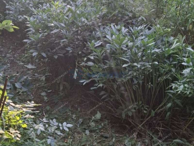 дом на Центральной улице деревня Хабарское