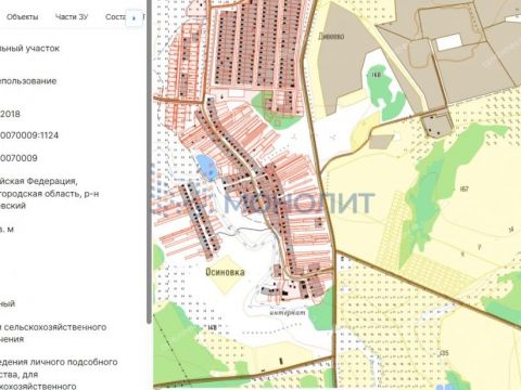 derevnya-osinovka-diveevskiy-municipalnyy-okrug фото