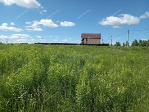 derevnya-burcevo-bogorodskiy-municipalnyy-okrug фото