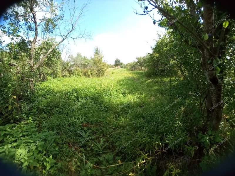 трёхкомнатная квартира на улице 3 Сентября дом 37 рабочий посёлок Сухобезводное