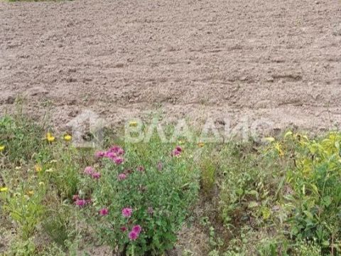 selo-bezvodnoe-kstovskiy-rayon фото