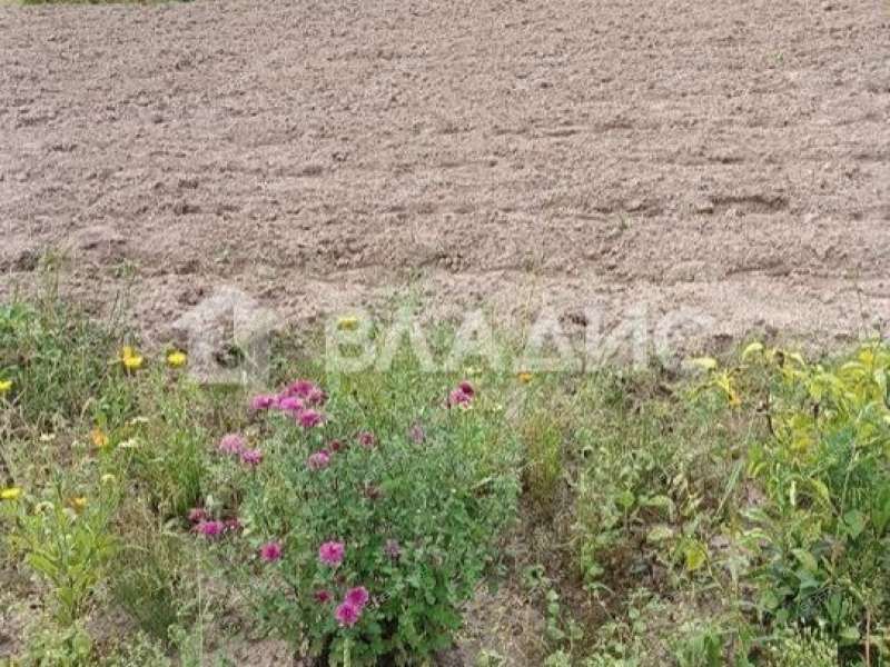 земельный участок 10 соток Садовая улица село Безводное