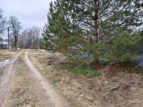 selo-ubezhicy-bogorodskiy-municipalnyy-okrug фото