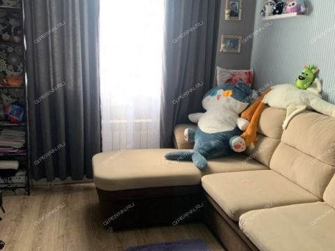 dom-selo-borkovka-gorodskoy-okrug-vyksa фото