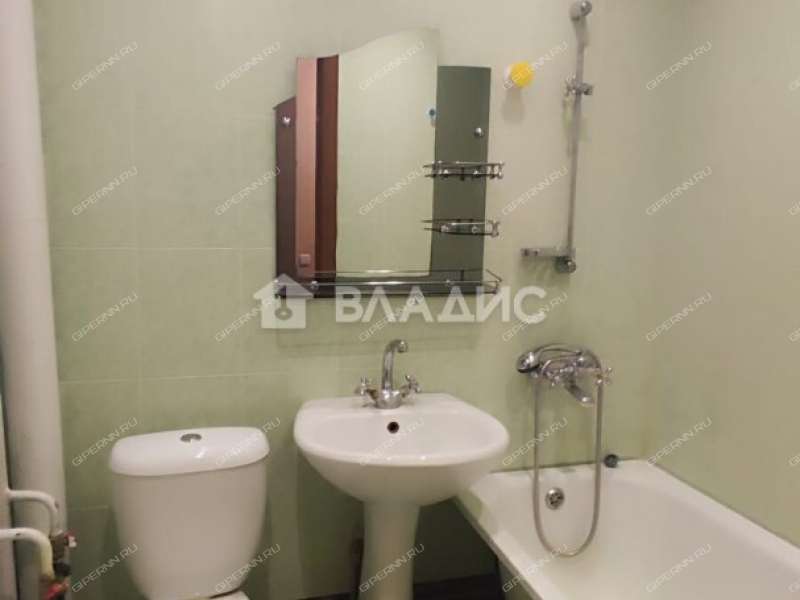 однокомнатная квартира на улице Германа Лопатина дом 2 к1