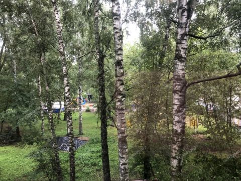 1-komnatnaya-sh-yuzhnoe-d-46a фото