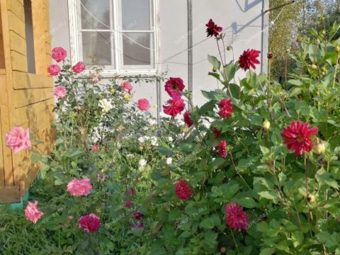 dacha-rabochiy-poselok-bolshoe-kozino-balahninskiy-municipalnyy-okrug фото