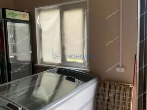 derevnya-lapshiha-dalnekonstantinovskiy-rayon фото