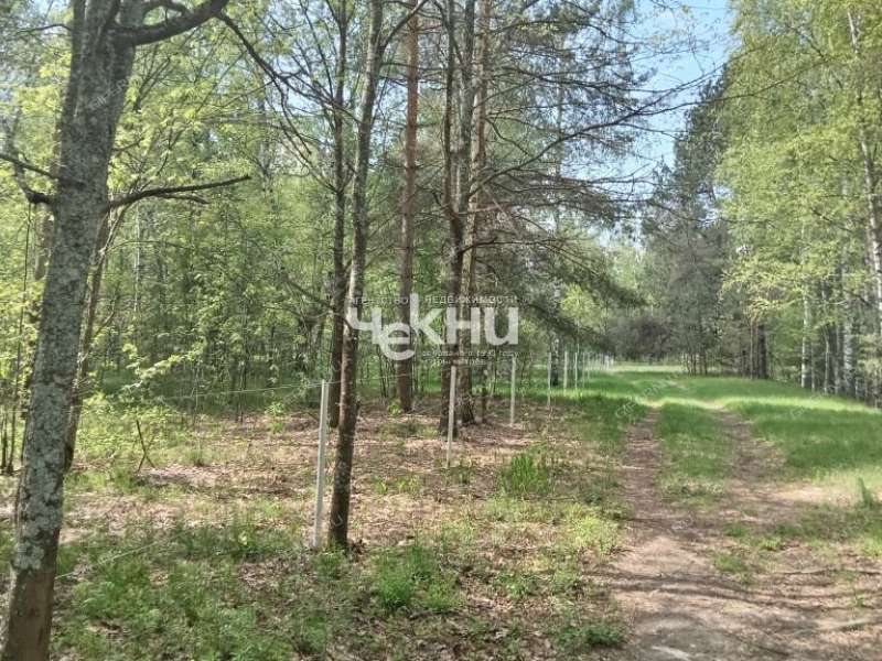 земельный участок 63 сотки деревня Дубрава