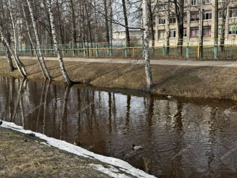 2-komnatnaya-ul-shimborskogo-d-7 фото